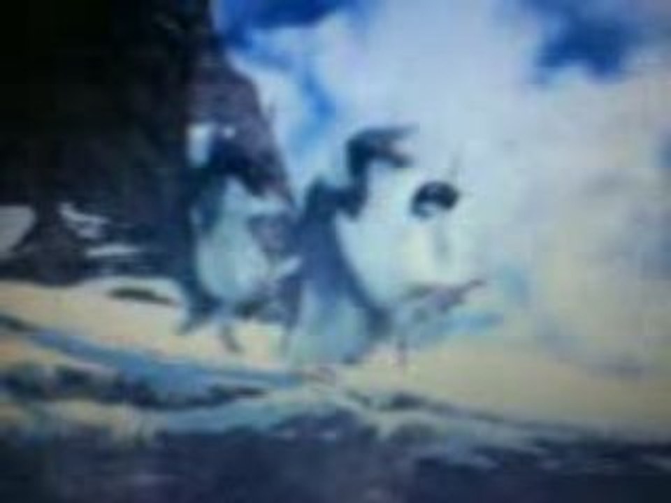 MOV00028