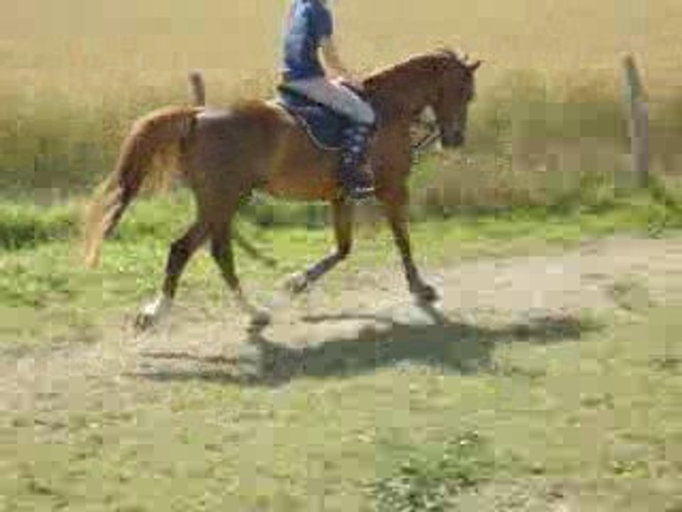 gabe en renes all