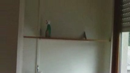 Studio LILLE rue du Faubourg de Béthune - 1er étage