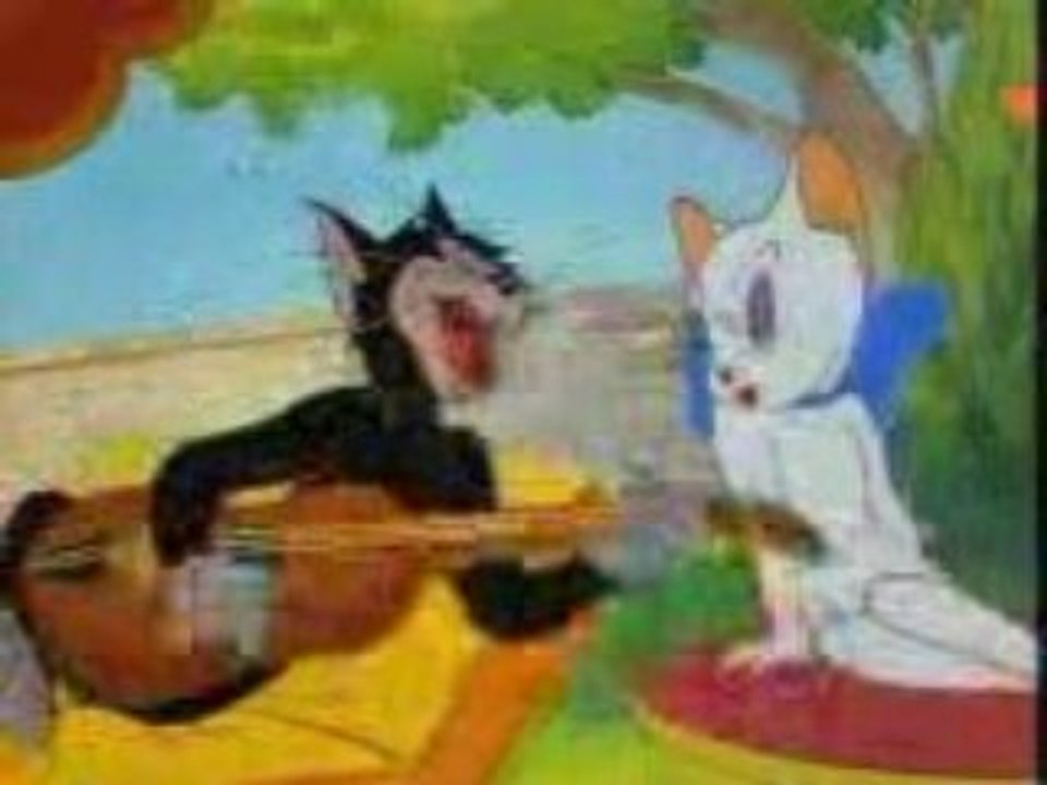 Aşık kedi