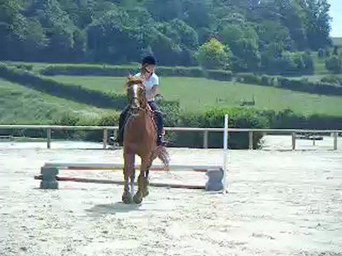Mon calmar et moi sur un oxer de 45/60 cm