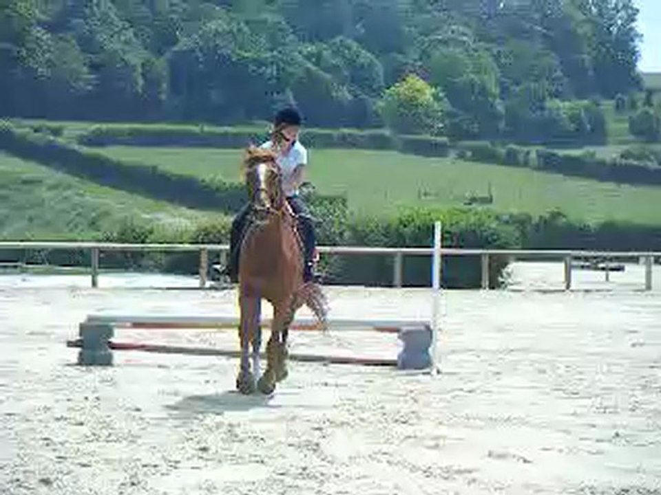 Mon calmar et moi sur un oxer de 45/60 cm