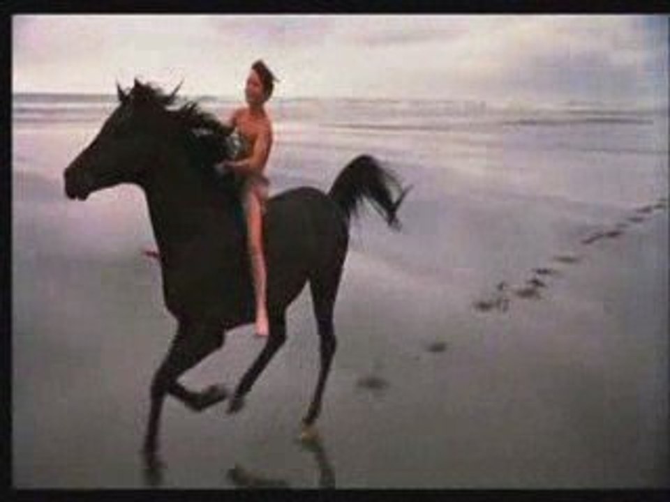 L'étalon noir / The Black Stallion