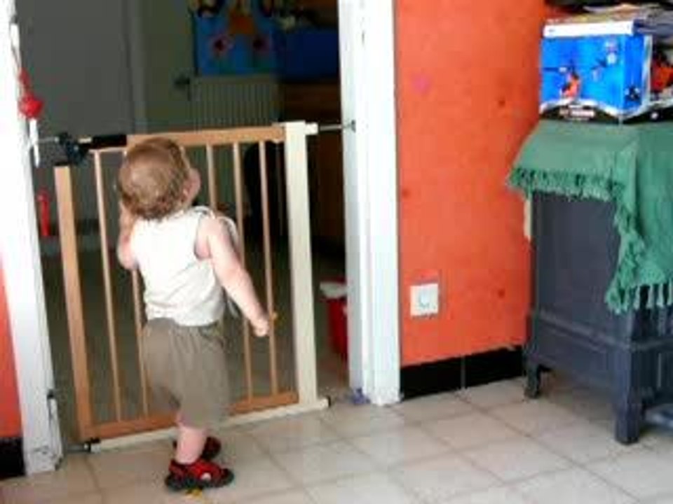 la petite betise