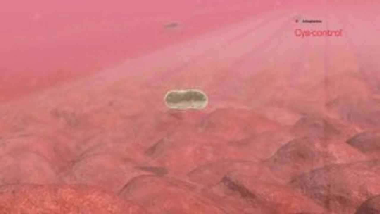 Arkopharma Cys-control