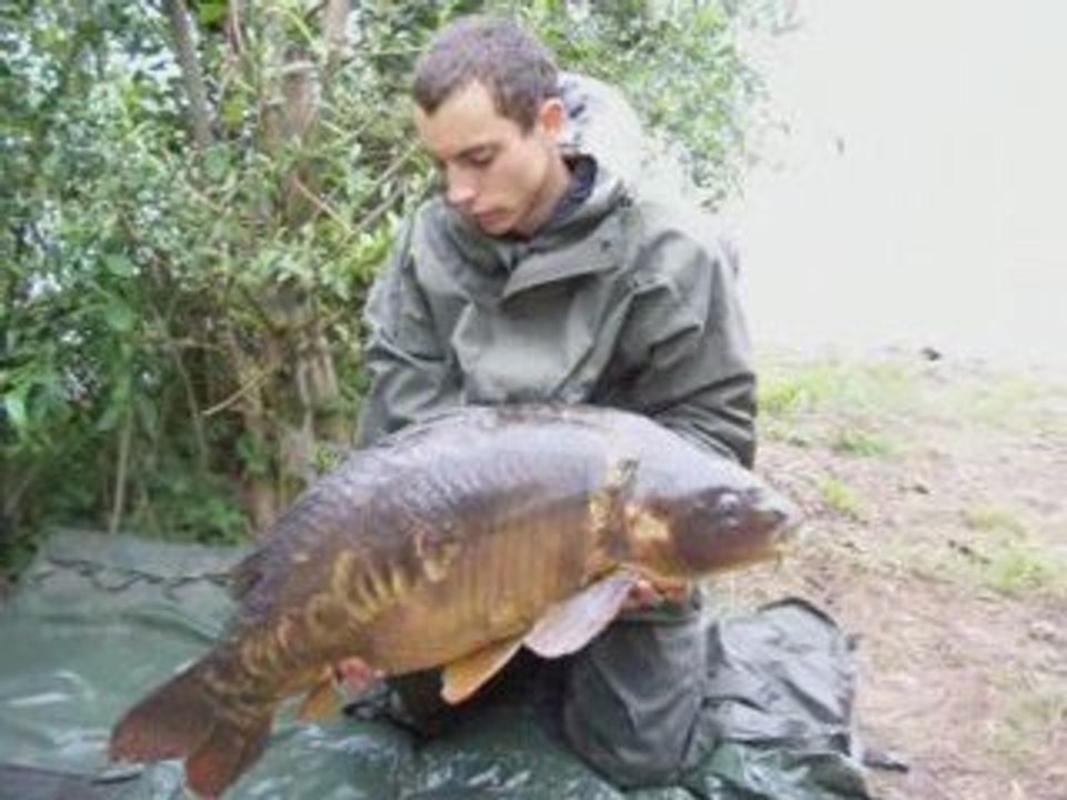 yrag n' co,  session carpe diapo vidéo