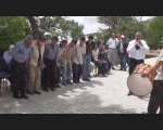 Kemah - Kardere Köyü Cevizliği - 1