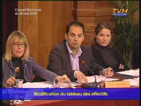 CONSEIL MUNICIPAL MONTREUIL (28/05/2009) - Question 15