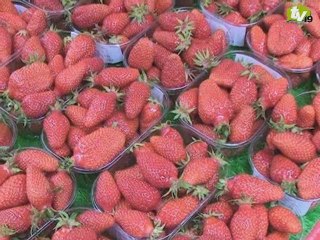 Fête de la fraise - Beaulieu