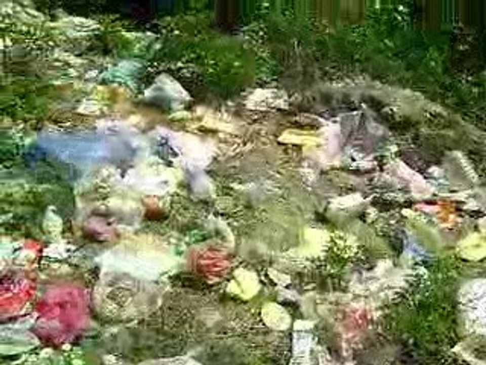 ALAPLI ÇEVRE DERNEĞİ M,TÜRKOĞLU