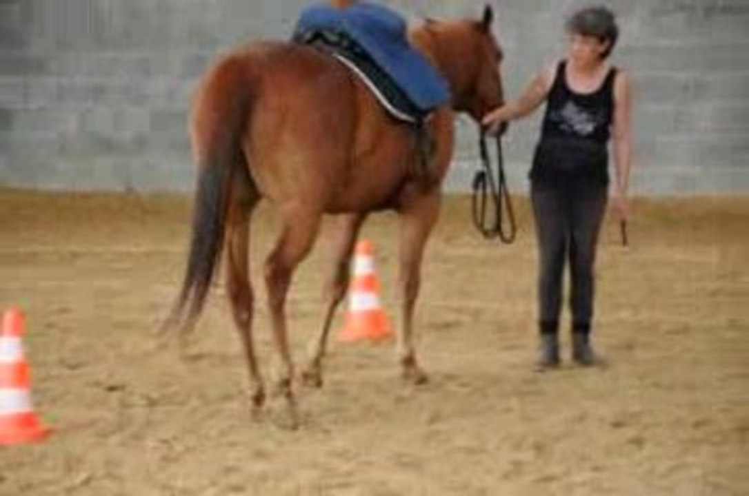 Peppermint-Débuts reculer autour de cônes