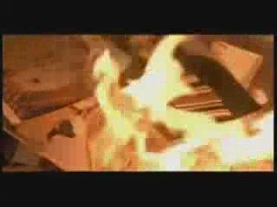 Zeynep Sağdaş - yarım kalanlara rağmen