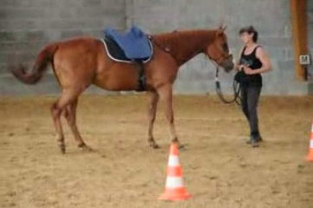 Peppermint-Débuts reculer autour de cônes(2)