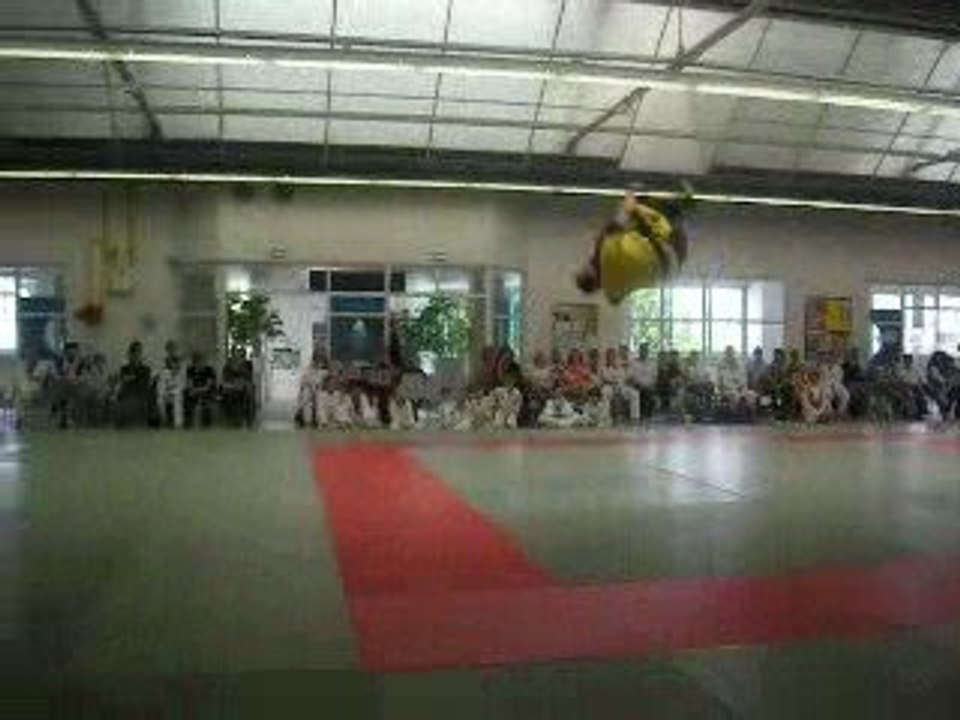poumsé artistique  taekwondo caen 2009