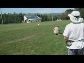 F117 en dépron