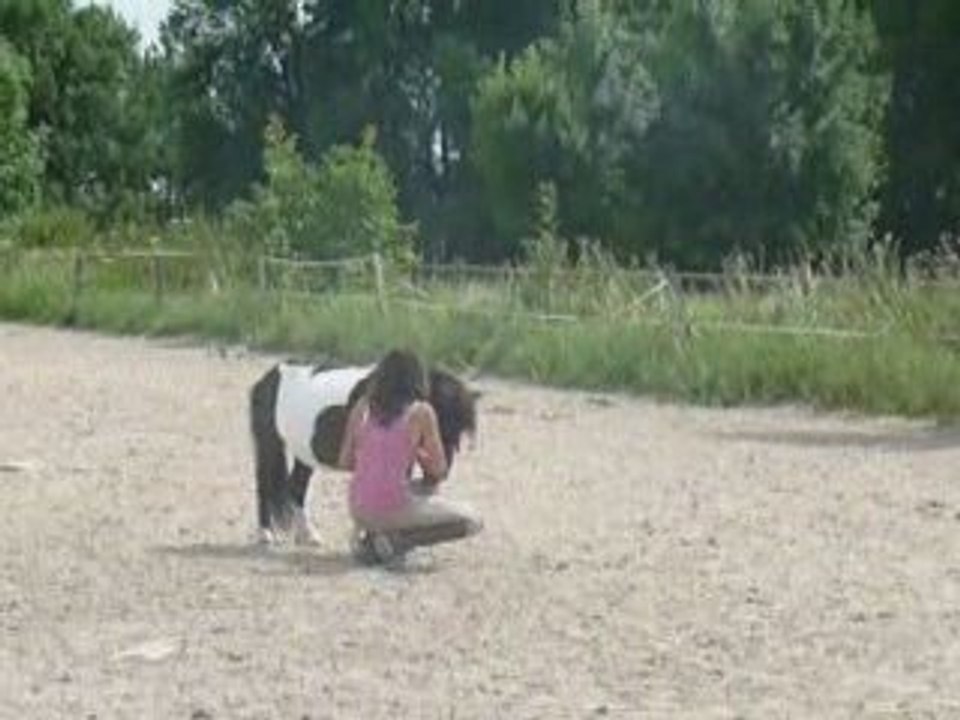 Camille et Pirouette