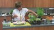 Tomato Salad Recipe with Basil, Feta and Tomatoes