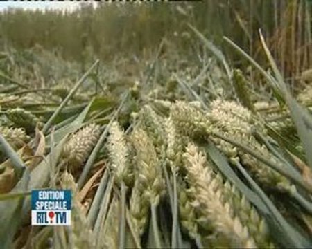 Momalle des crop circles sont visibles dans les champs de b