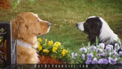 Sell diamond rings & other breakup jewelry-OutOfYourLife.com