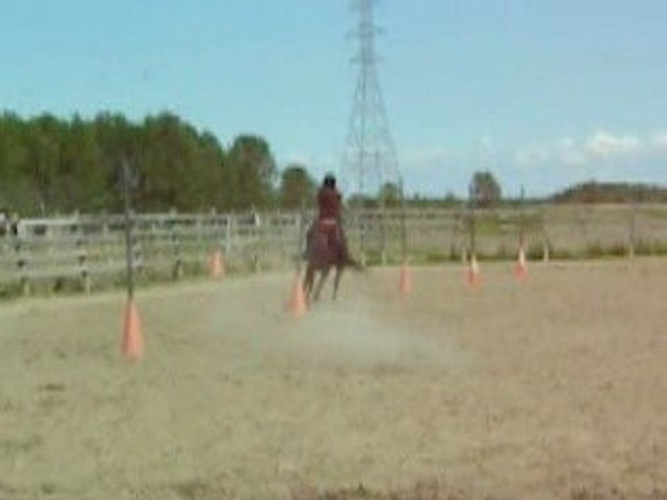 Moi dans les pôles !