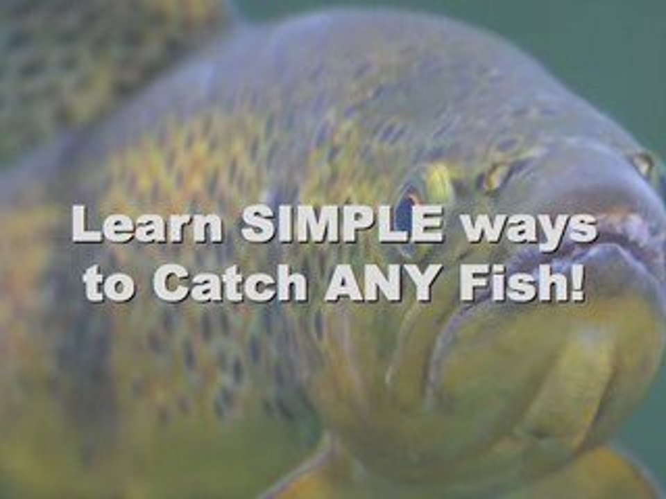 The Fishing Secret in Lakes and Saltwater Angling