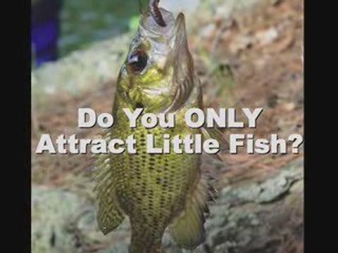 Fishing Secrets on Lakes and Rivers