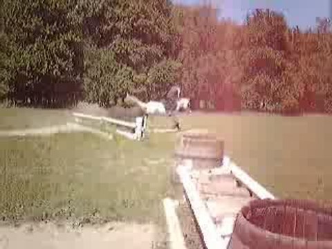 Julia Et Lolita - CROSS Haie