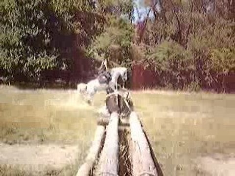 Julia Et Lolita - CROSS Jardinière