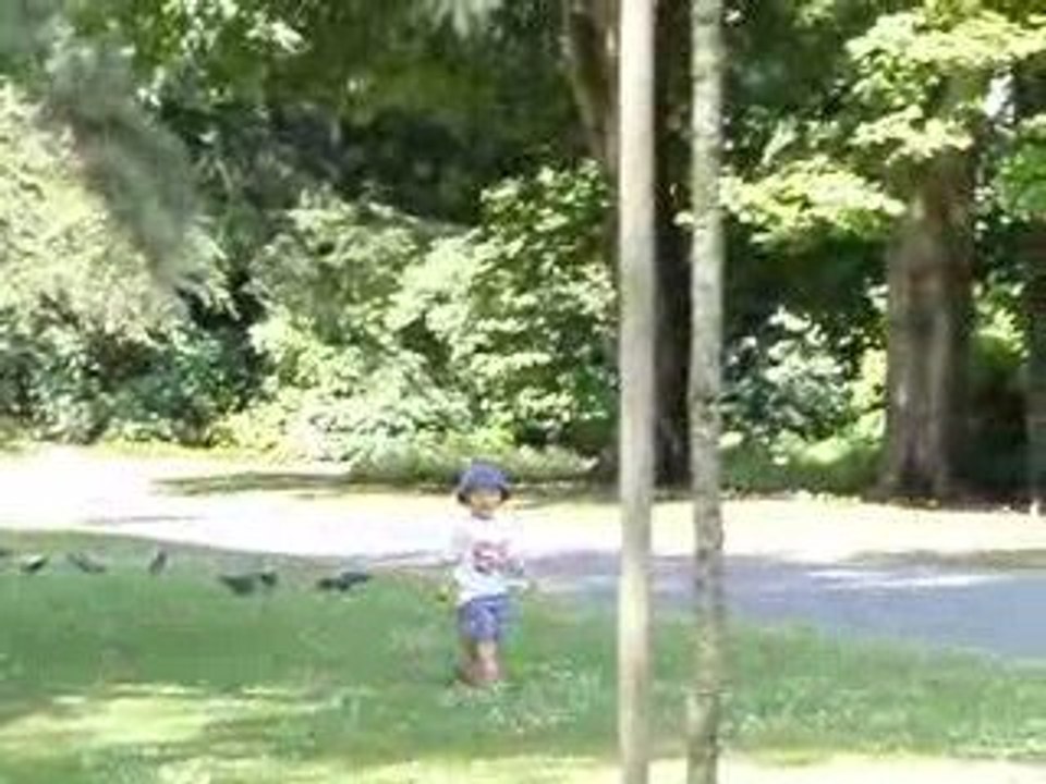 Ewen court derrière les oiseaux
