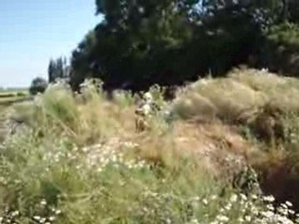 Régis fait du Motocross avec une Yamaha XT 250