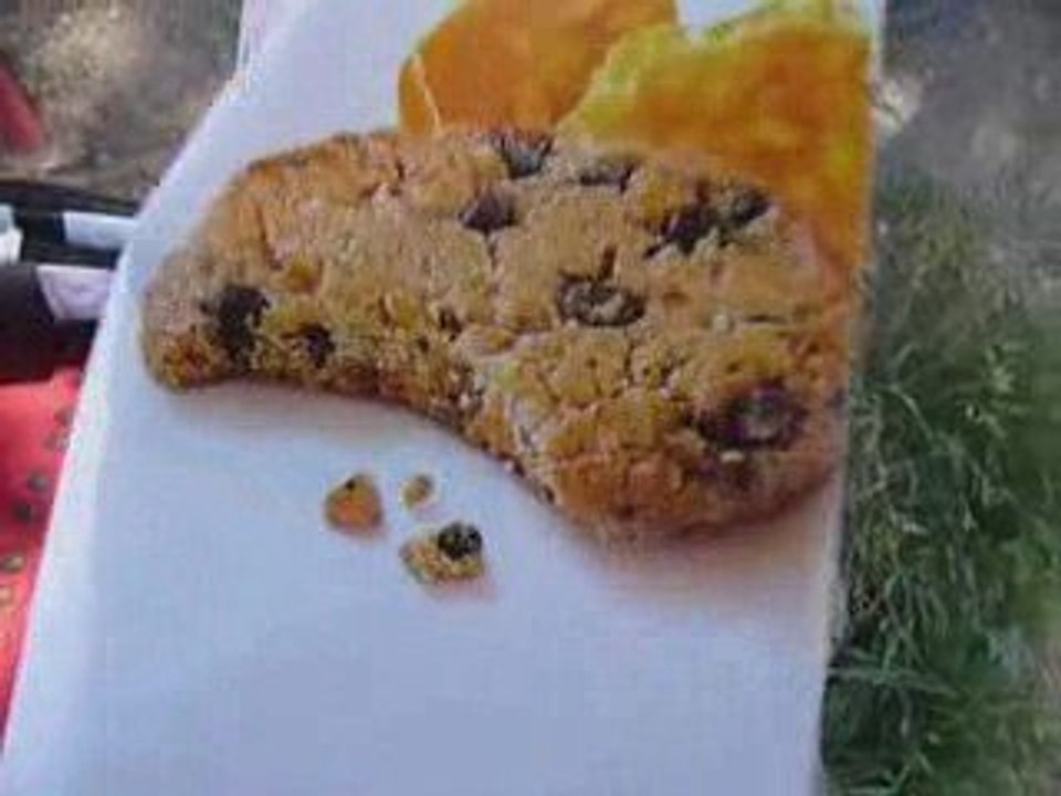 Journée au 2 Alpes ...