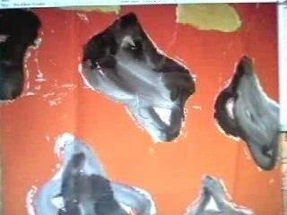 Exposition Claude Viallat Bamako 2009