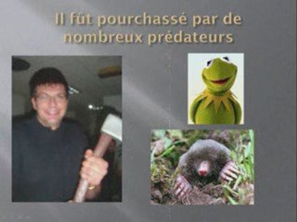 L'histoire improbable d'un Knacki pas comme les autres!