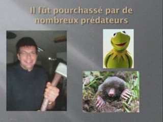 L'histoire improbable d'un Knacki pas comme les autres!