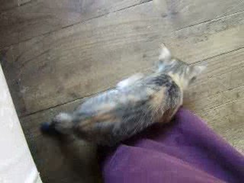 Attaque des pieds par Nessa version 2