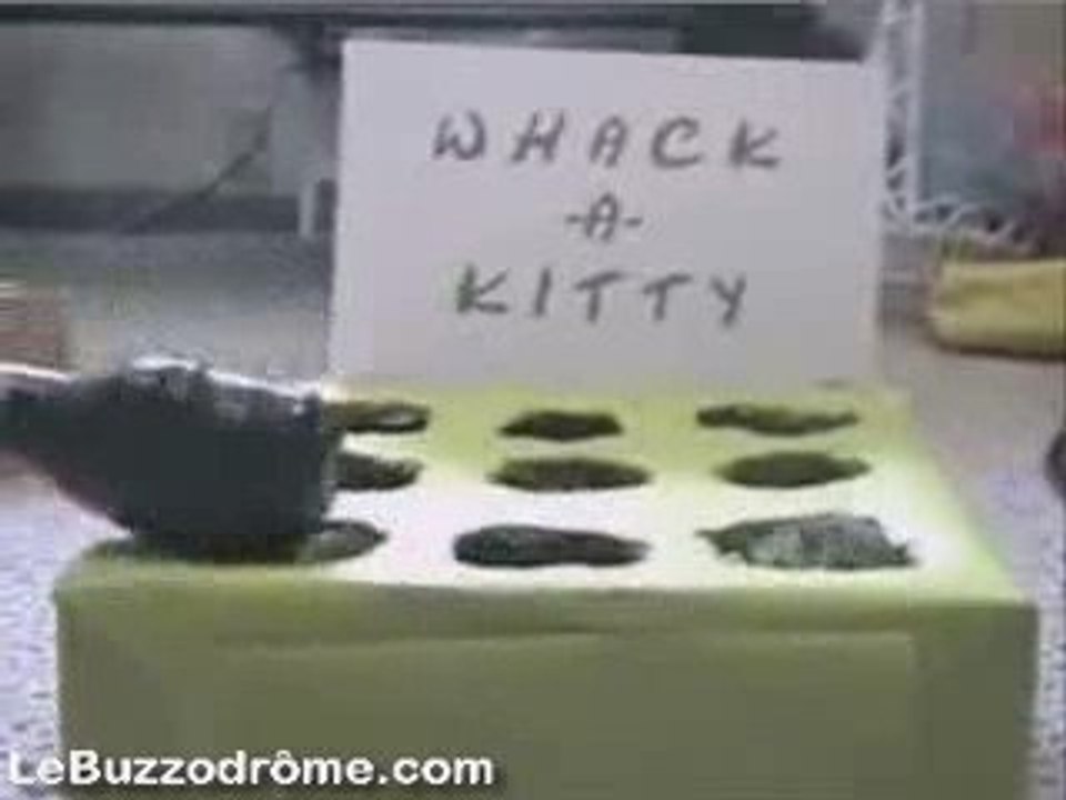 Chasse taupes avec des chatons