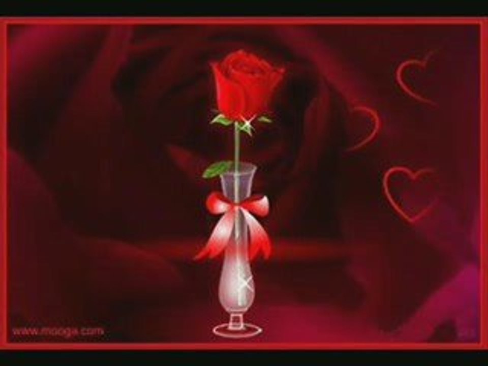 Warda 3la Warda By Mr.Simo