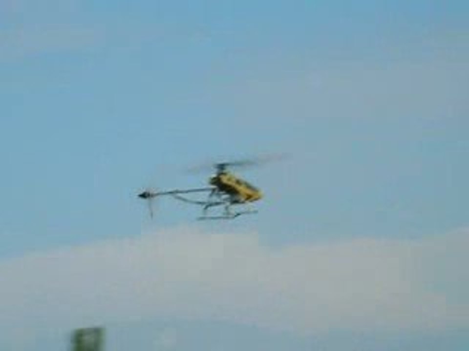 Honey bee FP Looping pilote Mickael