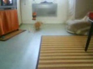 Ramsès rapporte la balle