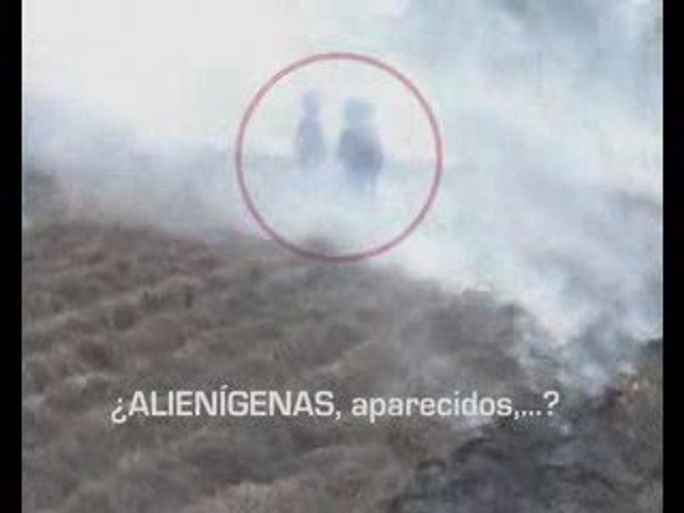 alien.UNKNOWN LIFE FORM Video