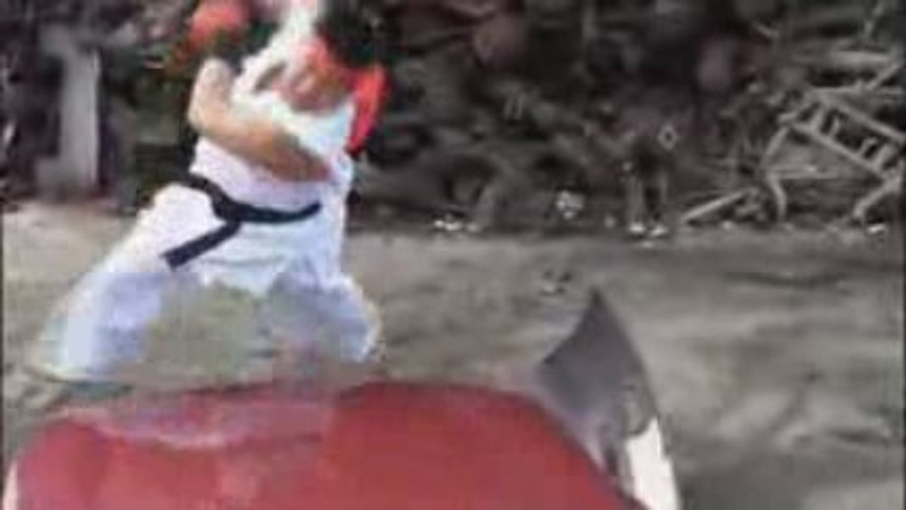 Street Fighter : LE fan