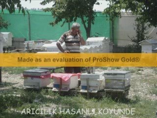 ALAPLI,MANZARA VE T,YENER CENAZE