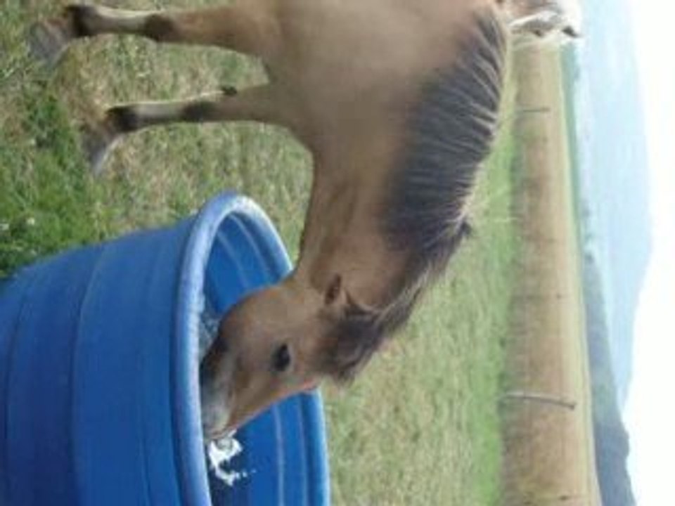 malice retouv ses copain