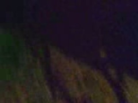 şopar Metehan ve saz arkadaşları 2