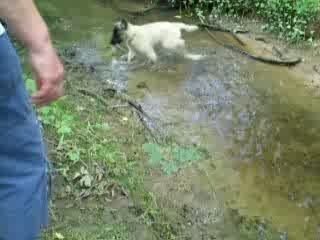 Esiane se mouille les papattes