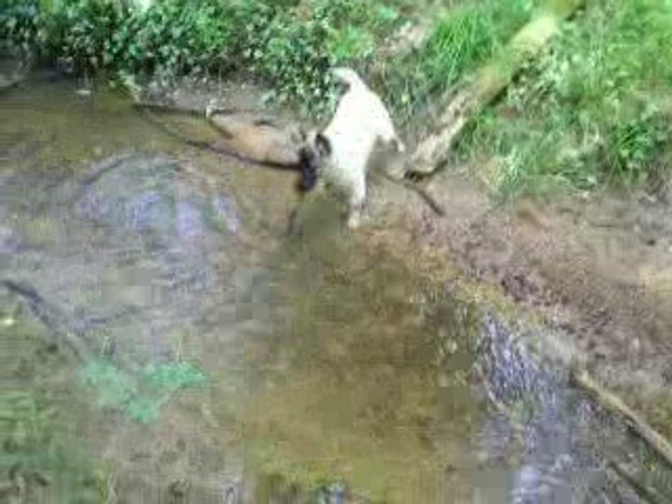 Esiane premier contact avec l'eau