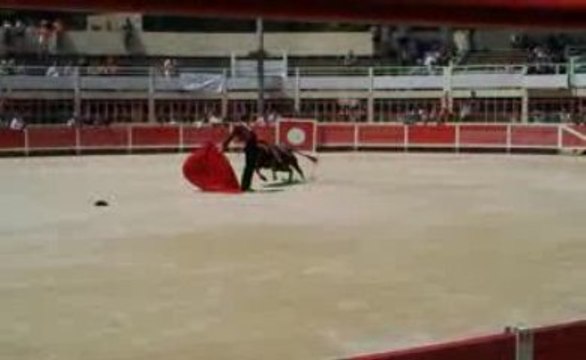 Juan Léal novillada matinale St Gilles