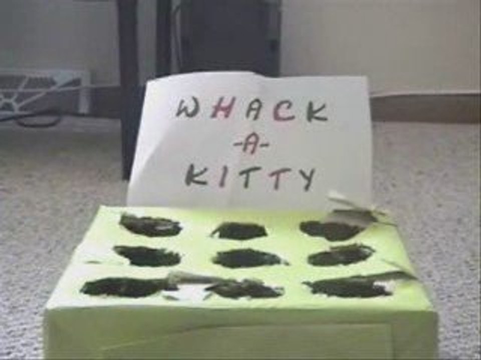 Chasse taupes avec des chatons (suite)