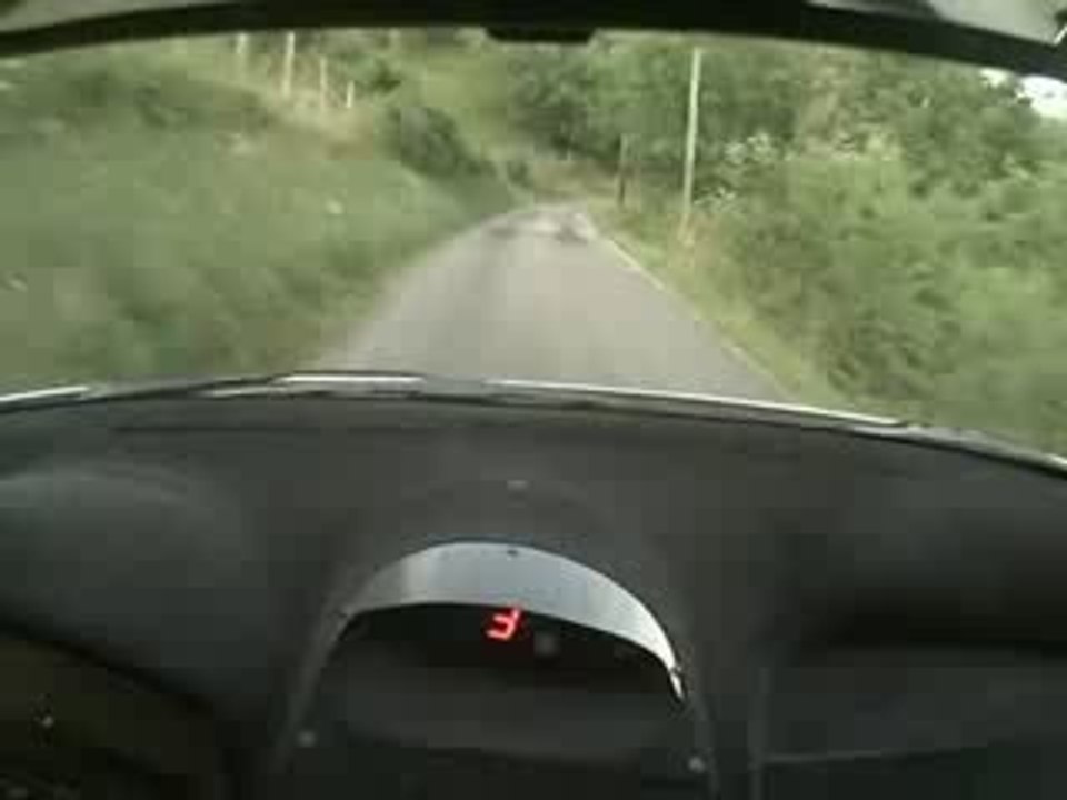 RALLYE SAINT MARCELLIN 2009 ODOIT/MILESI 206 MAXI ES10