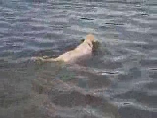 Première nage de Malou